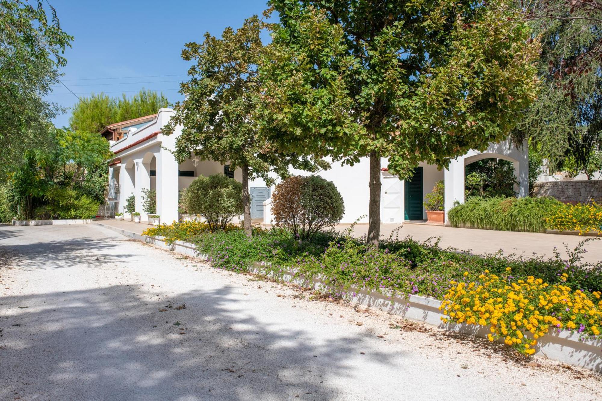 Mandorlocarrubo'S Suite Ostuni Kültér fotó